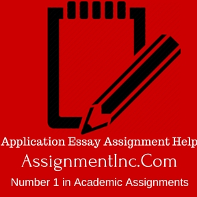 Essay, assignment help